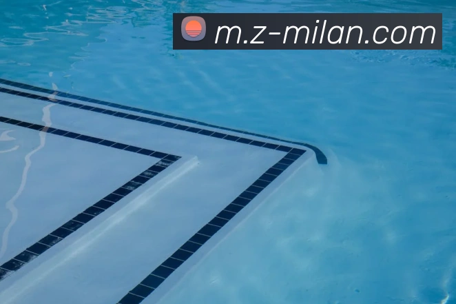 App Interface Preview